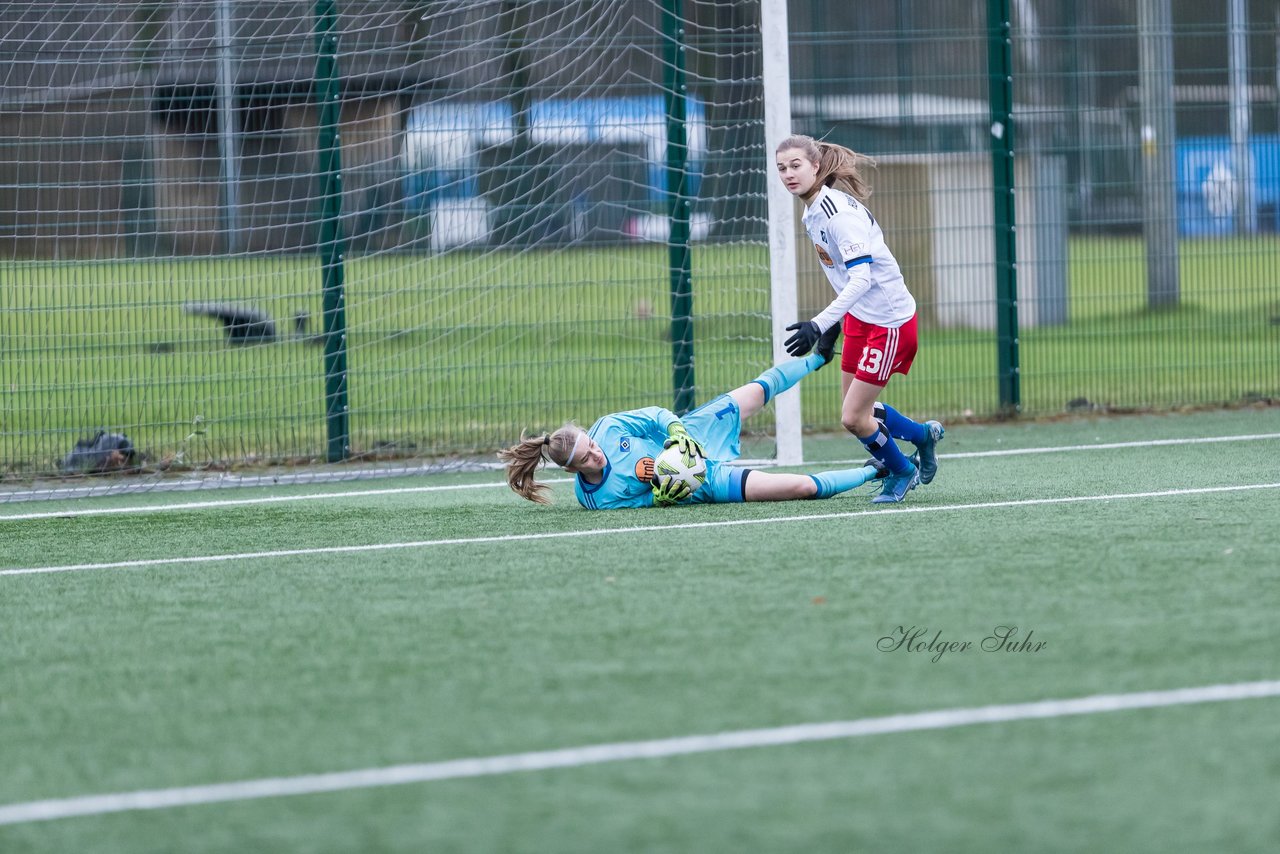 Bild 145 - wBJ HSV - F VfL Jesteburg : Ergebnis: 6:1